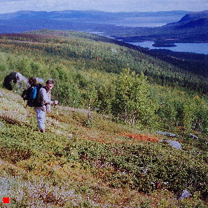 Lappland 1992_300x300
