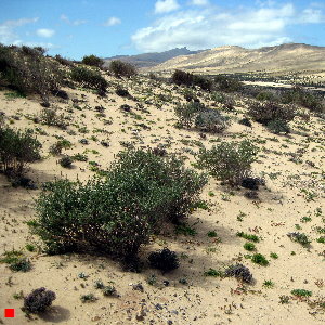 Spanien Fuerteventura